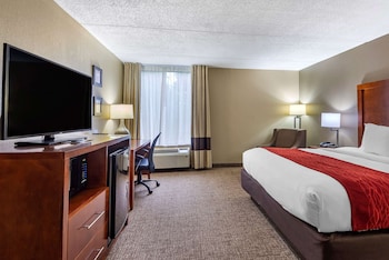 Room, 1 King Bed, Accessible, Non Smoking