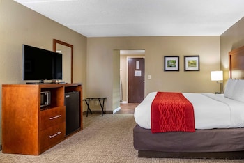 Standard Room, 1 King Bed, Non Smoking