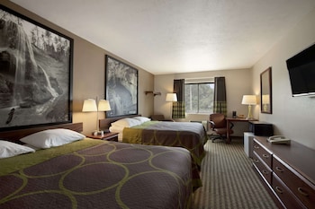 Room, 2 Queen Beds, Non Smoking (Pet Friendly)