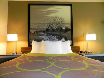 Room, 1 Queen Bed, Non Smoking (Pet Friendly)