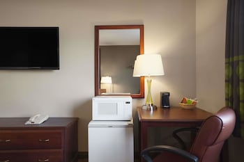 Room, 1 Queen Bed, Non Smoking (Pet Friendly)