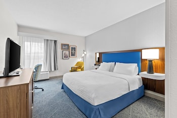 Room, 1 King Bed, Accessible, Non Smoking
