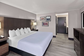 Room, 1 King Bed, Non Smoking
