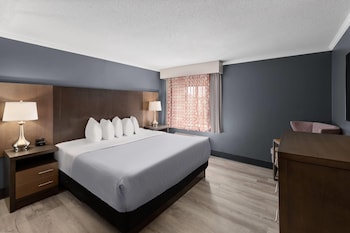 Deluxe Room, 1 King Bed, Non Smoking (Deluxe Family Room)