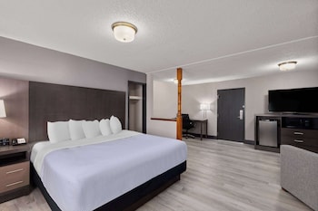 Deluxe Room, 1 King Bed, Non Smoking (Deluxe Executive Room)