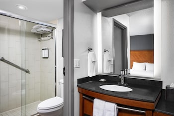 Standard Room, 1 King Bed with Sofa bed