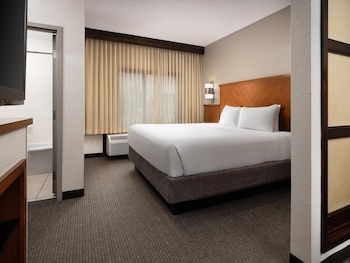 Standard Room, 1 King Bed with Sofa bed
