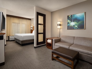 Standard Room, 1 King Bed with Sofa bed