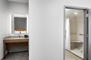 Standard Room, Accessible (Roll-in Shower)