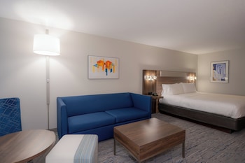 Suite, 1 King Bed with Sofa bed, Accessible (Communications)