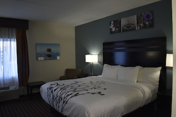 Room, 1 Queen Bed, Accessible, Non Smoking