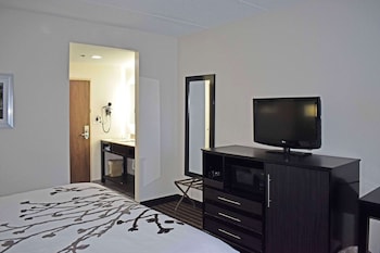 Suite, 1 King Bed with Sofa bed, Non Smoking