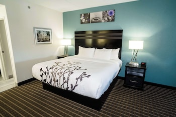 Suite, 1 King Bed with Sofa bed, Non Smoking