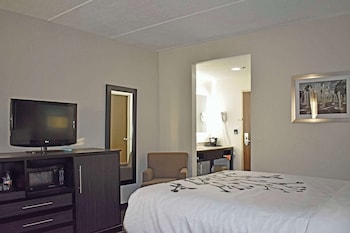 Suite, 1 King Bed with Sofa bed, Non Smoking