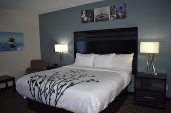 Room, 1 Queen Bed, Accessible, Non Smoking