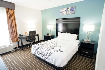 Room, 1 Queen Bed, Accessible, Non Smoking
