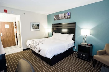 Standard Room, 1 King Bed, Non Smoking