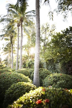 Studio, Garden View
