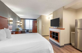 Deluxe Studio, 1 King Bed with Sofa bed, Non Smoking, Kitchenette