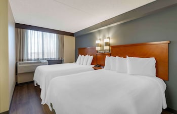 Deluxe Studio, Multiple Beds, Non Smoking, Kitchenette