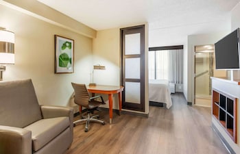 Family Studio, 1 King Bed, Non Smoking, Kitchenette