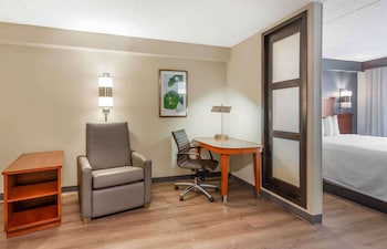 Family Studio, 1 King Bed, Non Smoking, Kitchenette