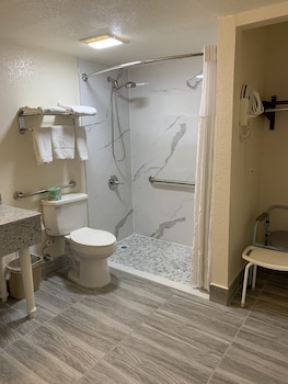 Room, 1 King Bed, Accessible, Non Smoking (Mobility)