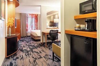 Executive Suite, 1 King Bed with Sofa bed