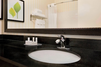 Executive Suite, 1 King Bed with Sofa bed (Mobility/Hearing Access, Roll-In Shwr)