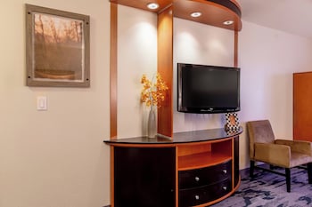 Executive Suite, 1 King Bed with Sofa bed