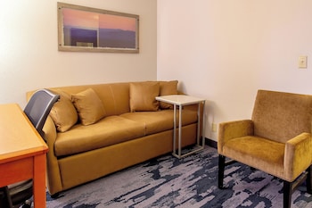 Executive Suite, 1 King Bed with Sofa bed