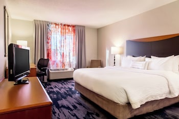 Executive Suite, 1 King Bed with Sofa bed (Mobility/Hearing Access, Roll-In Shwr)