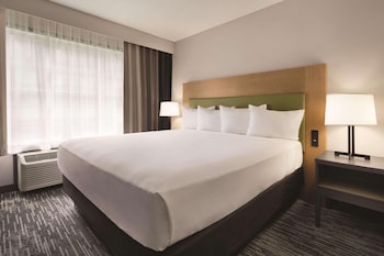 Room, 1 King Bed, Accessible, Non Smoking