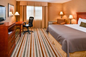 Business Room, 1 King Bed, Non Smoking, Refrigerator & Microwave