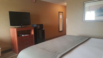 Standard Room, 1 King Bed, Non Smoking, Refrigerator & Microwave (Pet Friendly)
