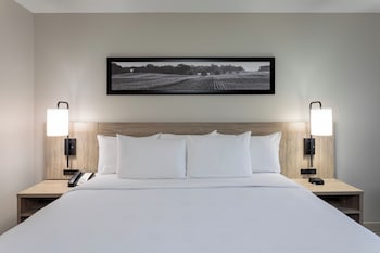 Executive Suite, 1 Bedroom (King)