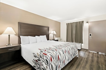 Superior Room, 1 King Bed, Smoking