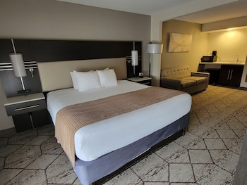 Room, 1 King Bed, Non Smoking