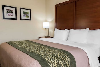 Room, 1 King Bed, Accessible, Non Smoking