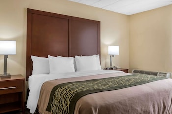 Room, 1 King Bed, Accessible, Non Smoking