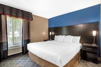 Suite, 1 King Bed with Sofa bed, Accessible, Non Smoking