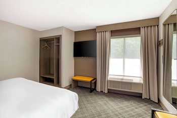 Suite, 1 King Bed with Sofa bed, Non Smoking