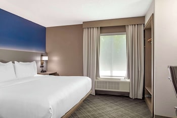 Suite, 1 King Bed with Sofa bed, Non Smoking