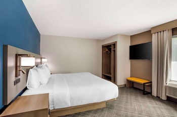 Suite, 1 King Bed with Sofa bed, Non Smoking