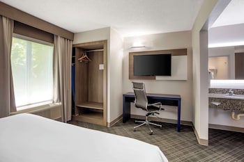 Suite, 1 King Bed with Sofa bed, Non Smoking