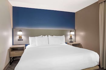 Suite, 1 King Bed with Sofa bed, Non Smoking