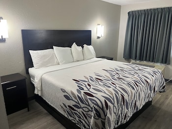 Superior Room, 1 King Bed, Non Smoking