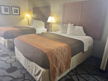 Studio Suite, 2 Queen Beds, Non Smoking
