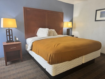 Studio Suite, 1 King Bed, Non Smoking