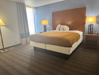 Studio Suite, 1 King Bed, Non Smoking